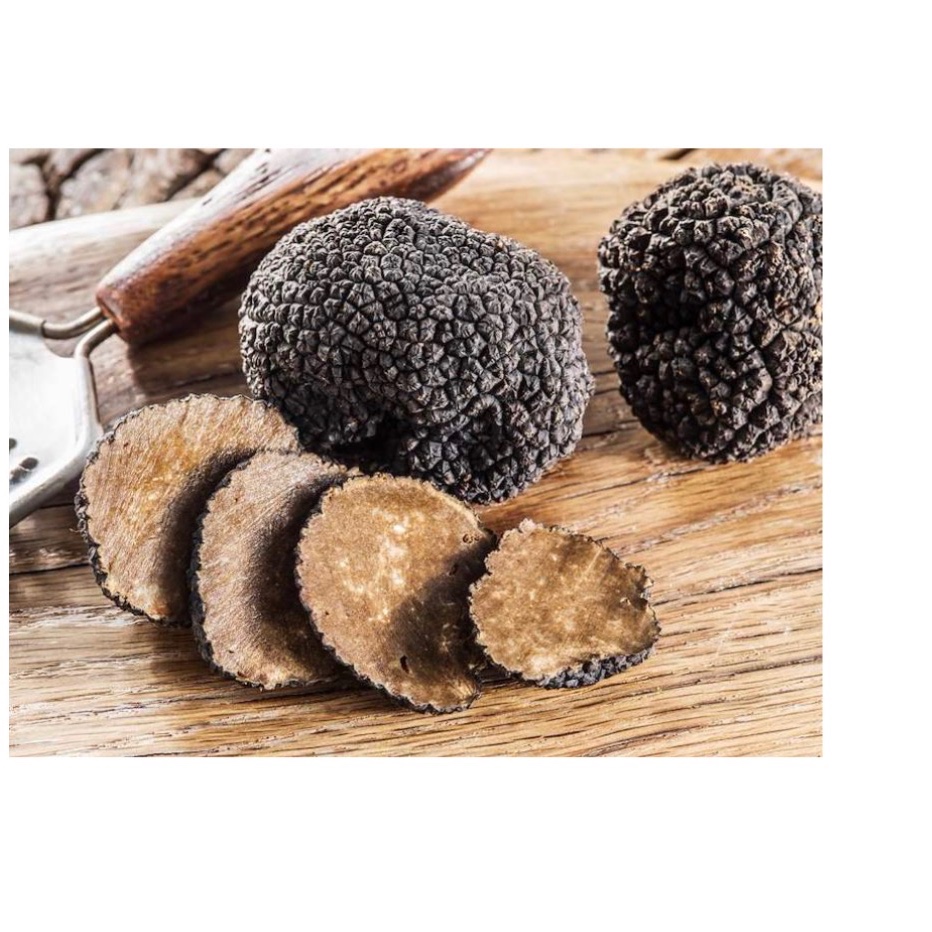 Frischtrüffel Tuber Aestivum - Sommertrüffel