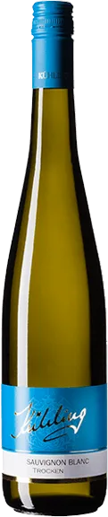 2025 Sauvignon blanc Bio trocken