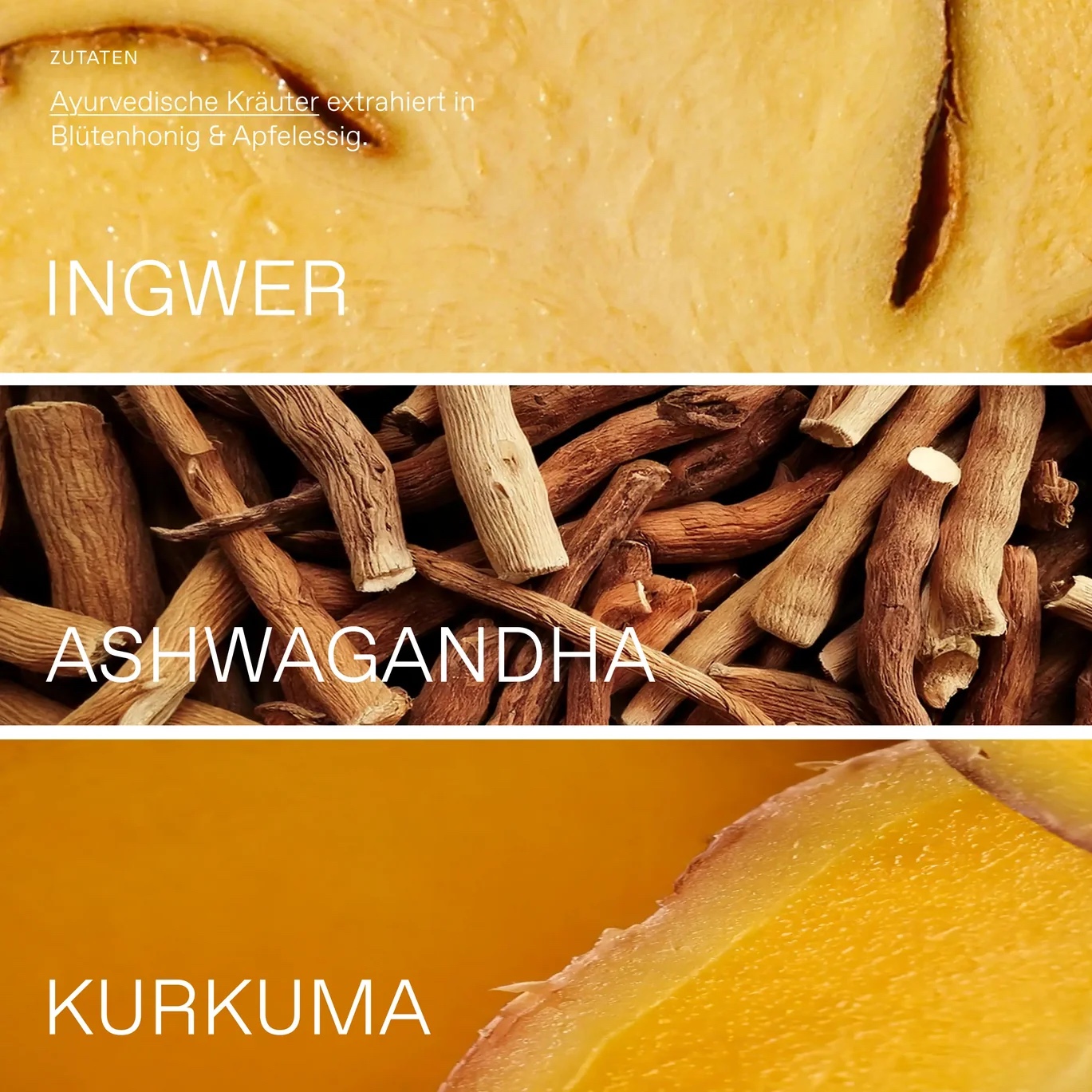 Oxymel Ayurveda BIO