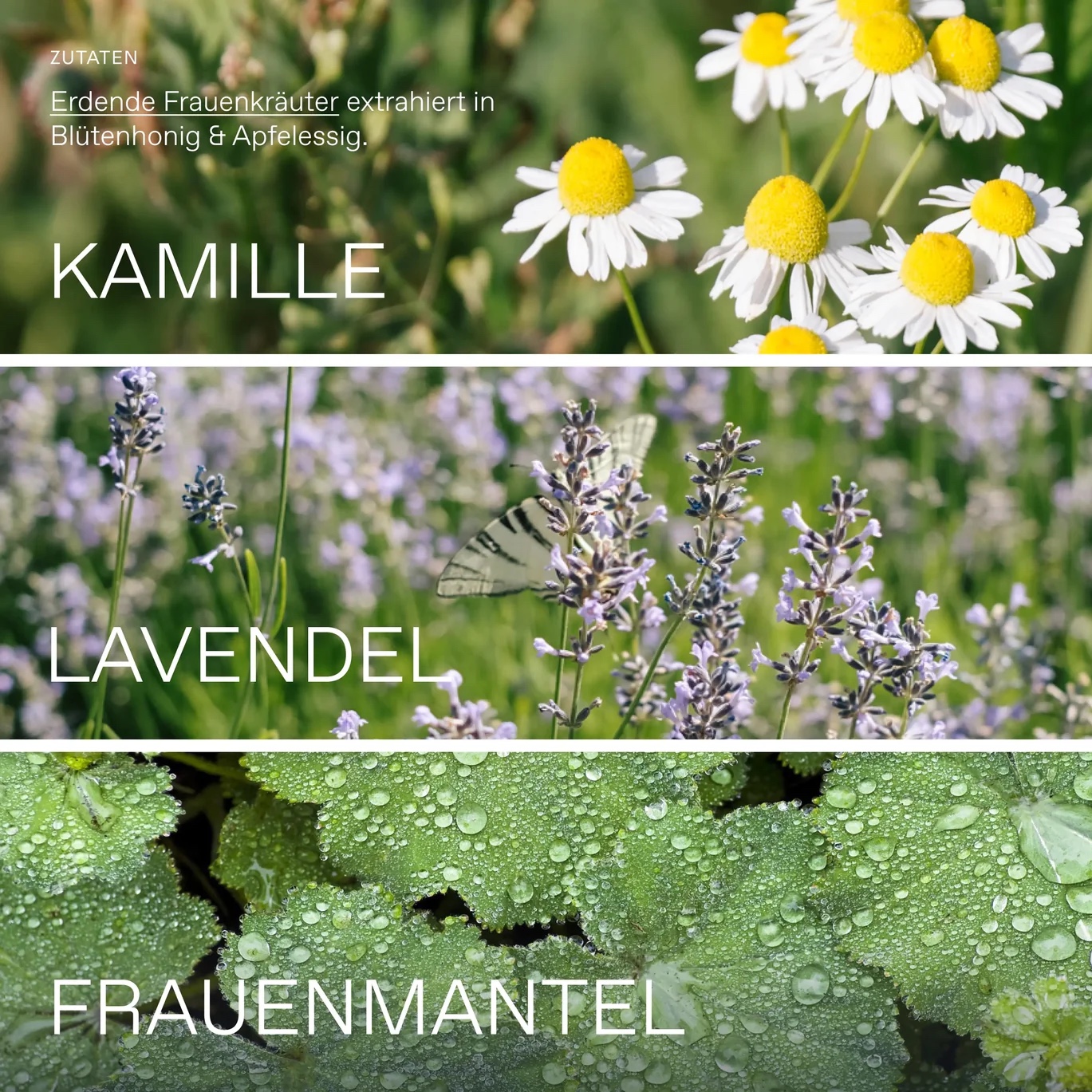 Oxymel Zyklus BIO