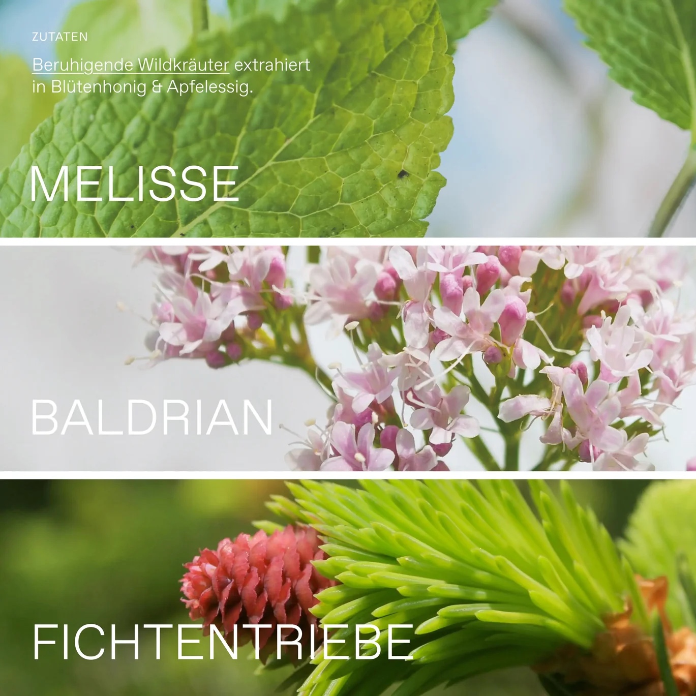 Oxymel Ruhe BIO
