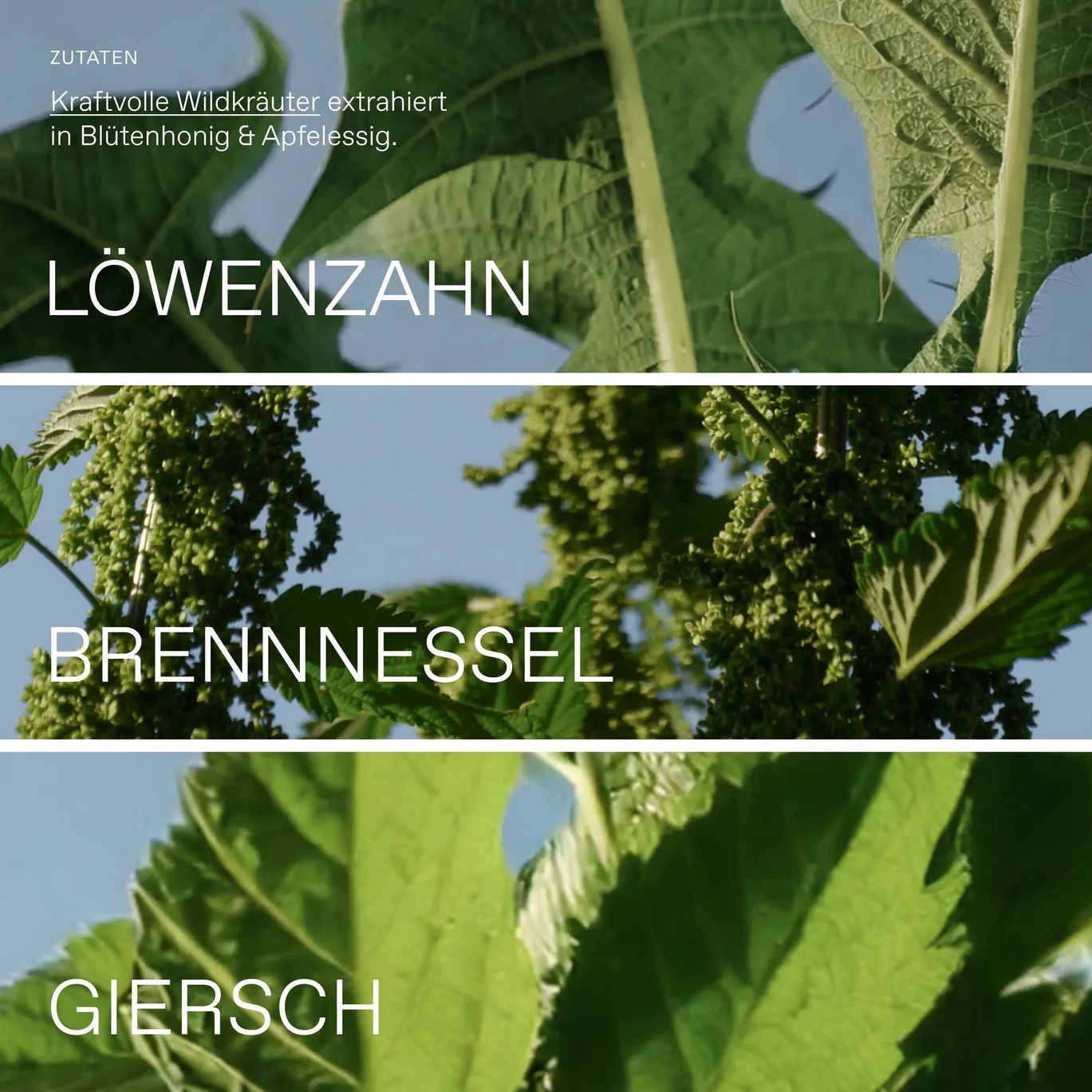Oxymel Kraft BIO